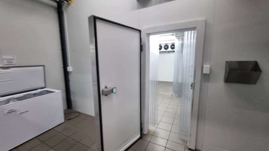 To Let Commercial Property for Rent in Salt River Western Cape